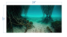 Load image into Gallery viewer, Aquarium Background Underwater Roots & Sand - vinyl graphic adhesive AQ0035