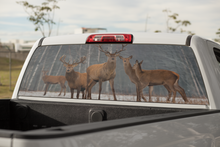 Load image into Gallery viewer, Truck Decal Back Window - Deer in the Forest - perforated vinyl TBW038