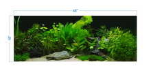 Load image into Gallery viewer, Plant Aquarium Tropical Background - vinyl graphic adhesive AQ0060