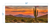 Load image into Gallery viewer, Terrarium Background Sunset Desert - vinyl graphic adhesive TR0010