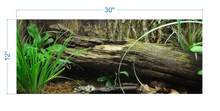 Load image into Gallery viewer, Terrarium Background Tropical Environment - vinyl graphic adhesive TR0005