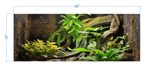 Load image into Gallery viewer, Terrarium Background Tropical Environment 2 - vinyl graphic adhesive TR0006