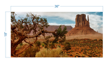 Load image into Gallery viewer, Terrarium Background Desert Landscape - vinyl graphic adhesive TR0001