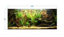 Load image into Gallery viewer, Tropical Aquarium Background - vinyl graphic adhesive AQ0057