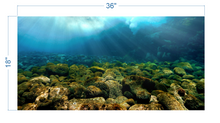 Load image into Gallery viewer, Aquarium Background Underwater Rocks - vinyl graphic adhesive AQ0031