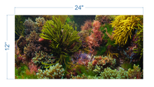 Load image into Gallery viewer, Aquarium Background Seaweeds Underwater - vinyl graphic adhesive AQ0054