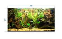 Load image into Gallery viewer, Tropical Aquarium Background - vinyl graphic adhesive AQ0057