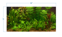 Load image into Gallery viewer, Aquarium Background Fresh Water Decorative Plants -vinyl graphic adhesive AQ0043