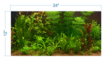 Load image into Gallery viewer, Aquarium Background Fresh Water Decorative Plants -vinyl graphic adhesive AQ0043