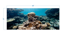 Load image into Gallery viewer, Aquarium Background Coral - vinyl graphic adhesive AQ0058