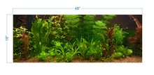 Load image into Gallery viewer, Aquarium Background Fresh Water Decorative Plants -vinyl graphic adhesive AQ0043
