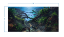 Load image into Gallery viewer, Aquarium Background Mystical Tropical Jungle - vinyl graphic adhesive AQ0053