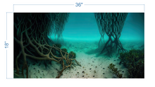 Load image into Gallery viewer, Aquarium Background Underwater Roots & Sand - vinyl graphic adhesive AQ0035