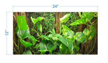 Load image into Gallery viewer, Terrarium Background Tropical Biotope - vinyl graphic adhesive TR0012