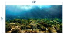 Load image into Gallery viewer, Aquarium Background Underwater Rocks - vinyl graphic adhesive AQ0031