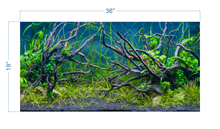 Load image into Gallery viewer, Aquarium Background Planted Aquarium Tropical 3 - vinyl graphic adhesive AQ0038