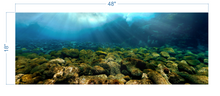 Load image into Gallery viewer, Aquarium Background Underwater Rocks - vinyl graphic adhesive AQ0031