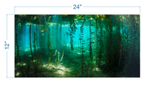 Load image into Gallery viewer, Aquarium Background River Plants Underwater - vinyl graphic adhesive AQ0044