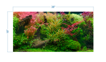 Load image into Gallery viewer, Aquarium Background Tropical Jungle - vinyl graphic adhesive AQ0052