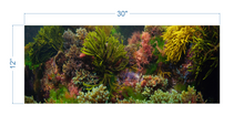Load image into Gallery viewer, Aquarium Background Seaweeds Underwater - vinyl graphic adhesive AQ0054