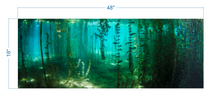 Load image into Gallery viewer, Aquarium Background River Plants Underwater - vinyl graphic adhesive AQ0044