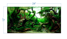 Load image into Gallery viewer, Aquarium Background Tropical Aquascape - vinyl graphic adhesive AQ0036