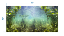 Load image into Gallery viewer, Aquarium Background Water Lily, Underwater Pound - vinyl graphic adhesive AQ0039
