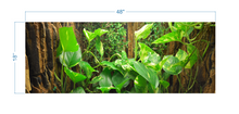 Load image into Gallery viewer, Terrarium Background Tropical Biotope - vinyl graphic adhesive TR0012