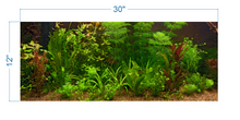 Load image into Gallery viewer, Aquarium Background Fresh Water Decorative Plants -vinyl graphic adhesive AQ0043
