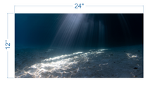 Load image into Gallery viewer, Aquarium Background Underwater Sand - vinyl graphic adhesive AQ0033