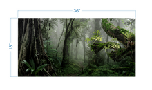 Load image into Gallery viewer, Terrarium Background Tropical forest - vinyl graphic adhesive TR0014