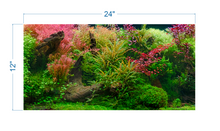 Load image into Gallery viewer, Aquarium Background Tropical Jungle - vinyl graphic adhesive AQ0052