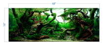 Load image into Gallery viewer, Aquarium Background Tropical Aquascape - vinyl graphic adhesive AQ0036