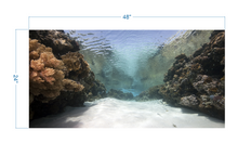 Load image into Gallery viewer, Aquarium Background Coral in the Ocean - vinyl graphic adhesive AQ0059