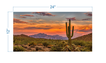 Load image into Gallery viewer, Terrarium Background Sunset Desert - vinyl graphic adhesive TR0010