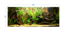 Load image into Gallery viewer, Tropical Aquarium Background - vinyl graphic adhesive AQ0057