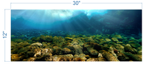 Load image into Gallery viewer, Aquarium Background Underwater Rocks - vinyl graphic adhesive AQ0031