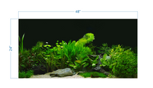 Load image into Gallery viewer, Plant Aquarium Tropical Background - vinyl graphic adhesive AQ0060