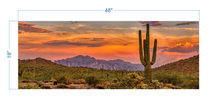 Load image into Gallery viewer, Terrarium Background Sunset Desert - vinyl graphic adhesive TR0010