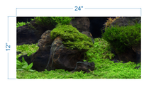 Load image into Gallery viewer, Aquarium Background Planted Aquarium Tropical 5 - vinyl graphic adhesive AQ0050