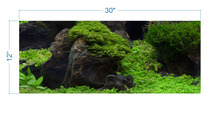 Load image into Gallery viewer, Aquarium Background Planted Aquarium Tropical 5 - vinyl graphic adhesive AQ0050
