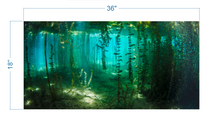 Load image into Gallery viewer, Aquarium Background River Plants Underwater - vinyl graphic adhesive AQ0044