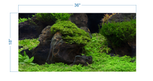 Load image into Gallery viewer, Aquarium Background Planted Aquarium Tropical 5 - vinyl graphic adhesive AQ0050