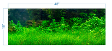 Load image into Gallery viewer, Aquarium Background Rock Wall - vinyl graphic adhesive AQ0030