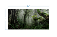 Load image into Gallery viewer, Terrarium Background Tropical forest - vinyl graphic adhesive TR0014