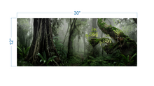 Load image into Gallery viewer, Terrarium Background Tropical forest - vinyl graphic adhesive TR0014