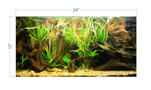 Load image into Gallery viewer, Tropical Aquarium Background - vinyl graphic adhesive AQ0057