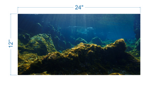 Load image into Gallery viewer, Aquarium Background Underwater Ocean - vinyl graphic adhesive AQ0047