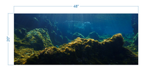 Load image into Gallery viewer, Aquarium Background Underwater Ocean - vinyl graphic adhesive AQ0047