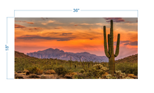 Load image into Gallery viewer, Terrarium Background Sunset Desert - vinyl graphic adhesive TR0010
